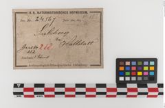 Etiketten zu Bronzeantennenschwert (NHMW-PRAE-024567)